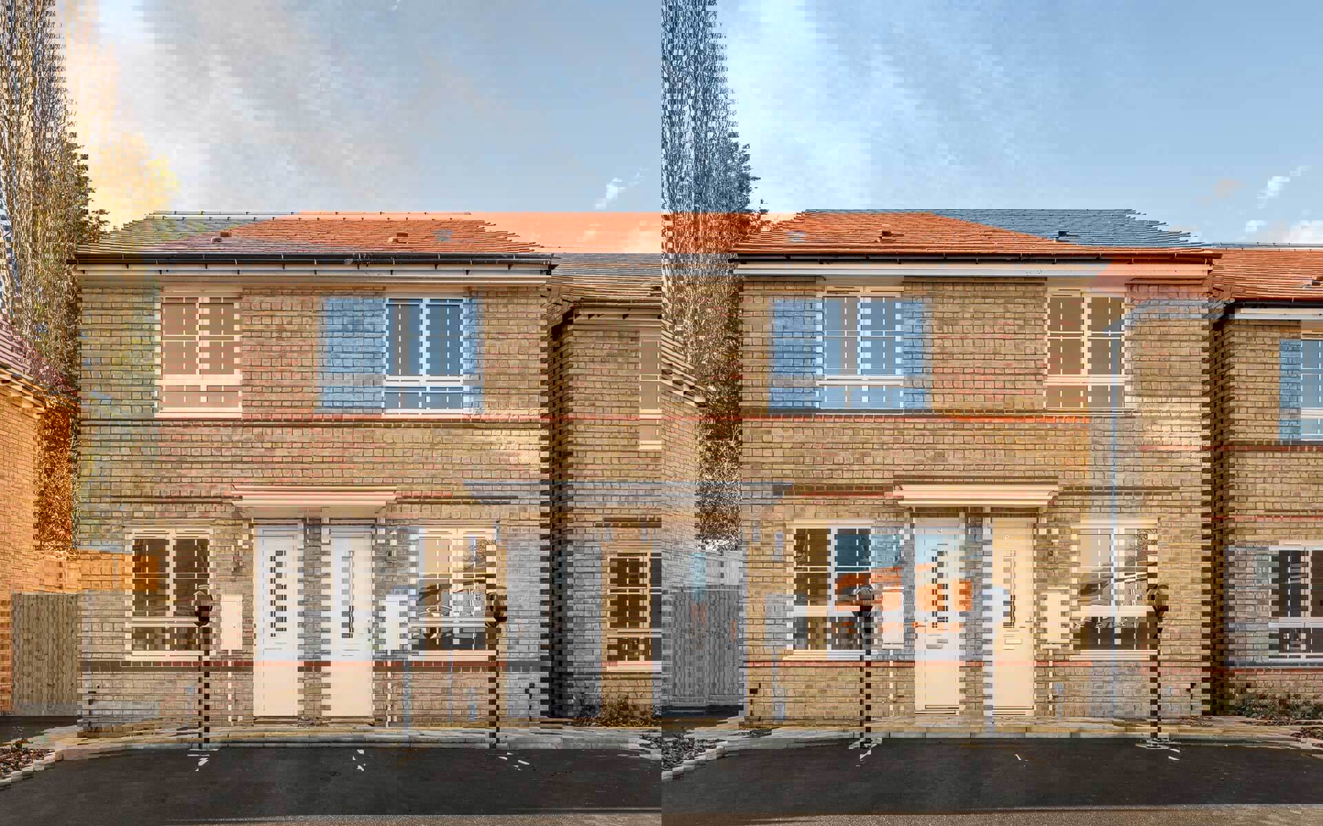 Hawthorn Grove Bramble 225 226