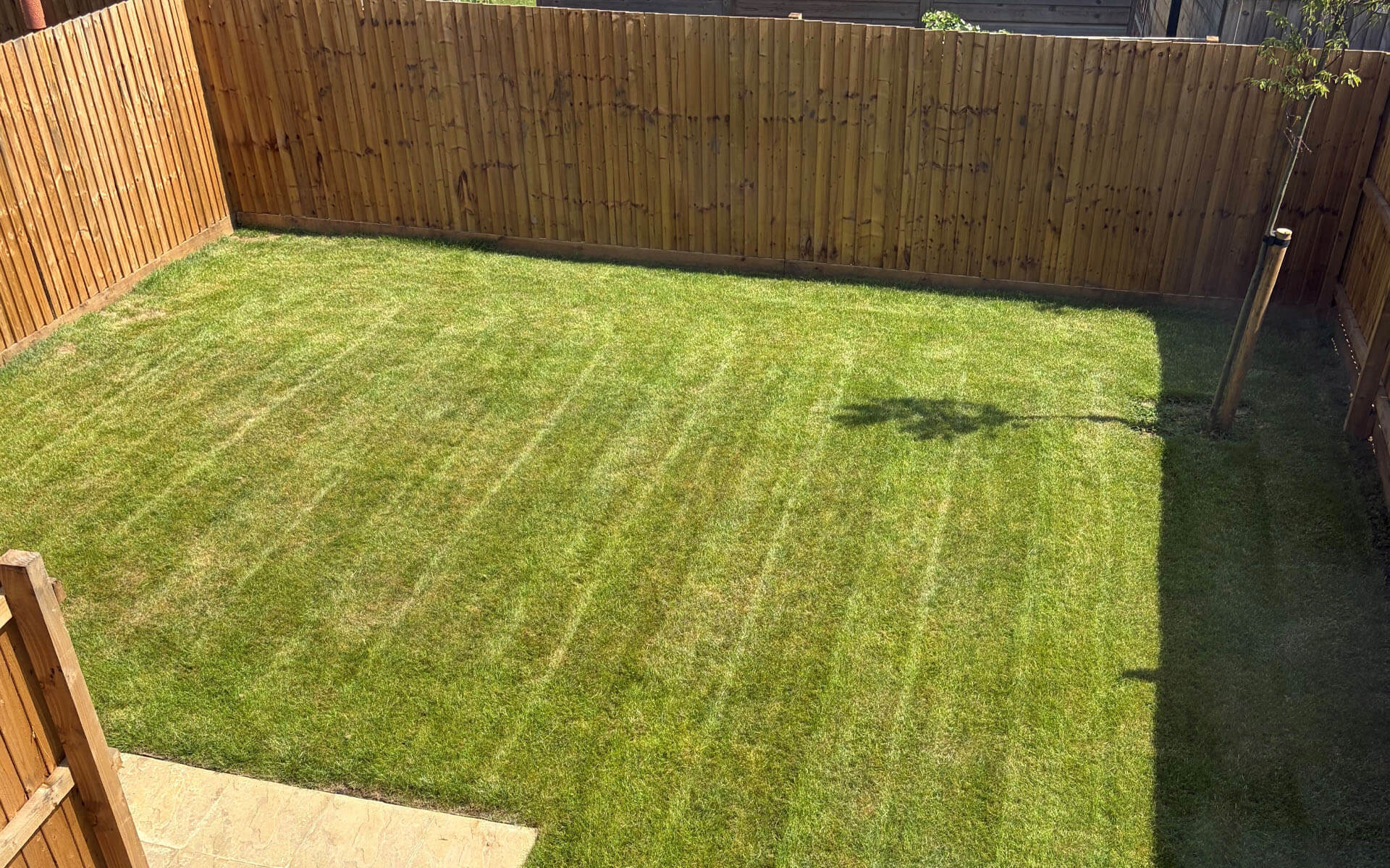 Show Home Rear Garden