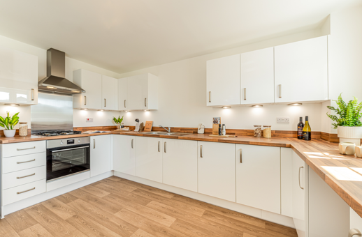 OH Trelawny Pl P50 Aspall LR (23)
