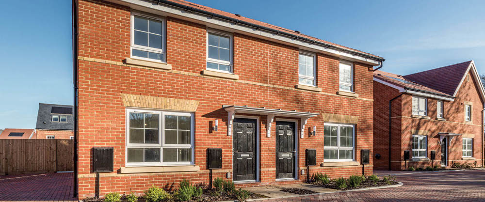 Brookwood Meadows Orchid 19 18