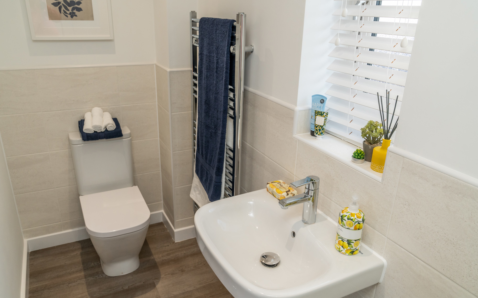 OH Mill View Ashley LR (61)