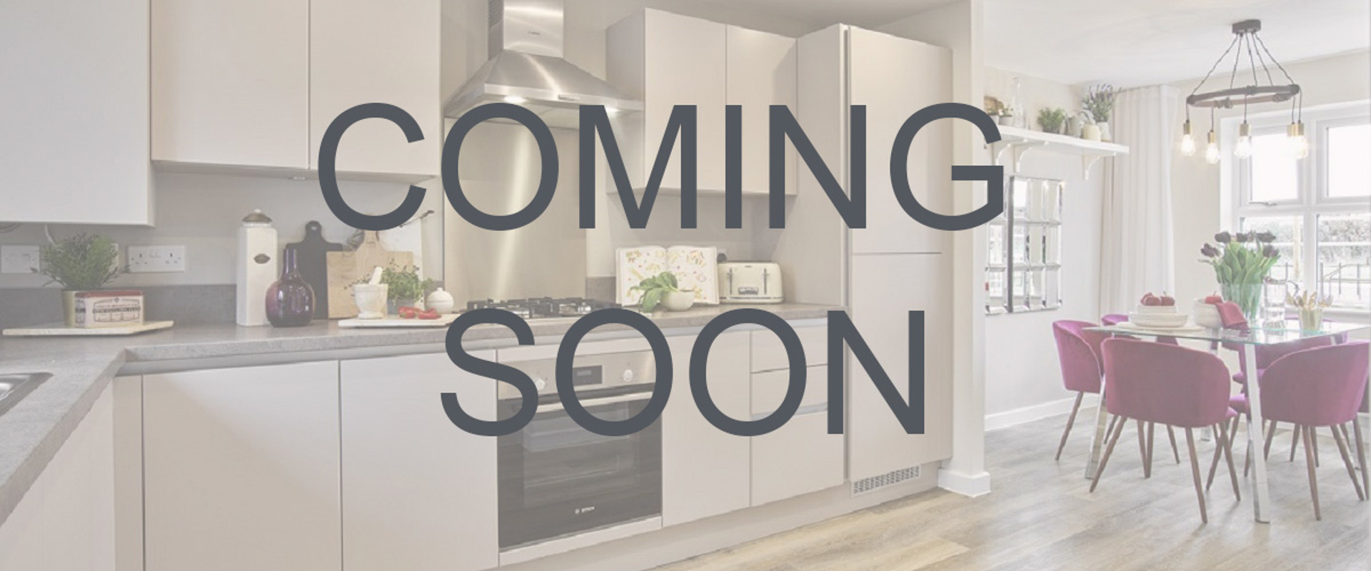 Newlands Show Homes March 2020 PE LR Langford (15) Coming Soon Use