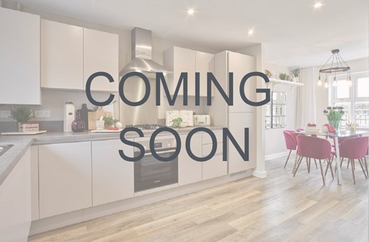 Newlands Show Homes March 2020 PE LR Langford (15) Coming Soon Use