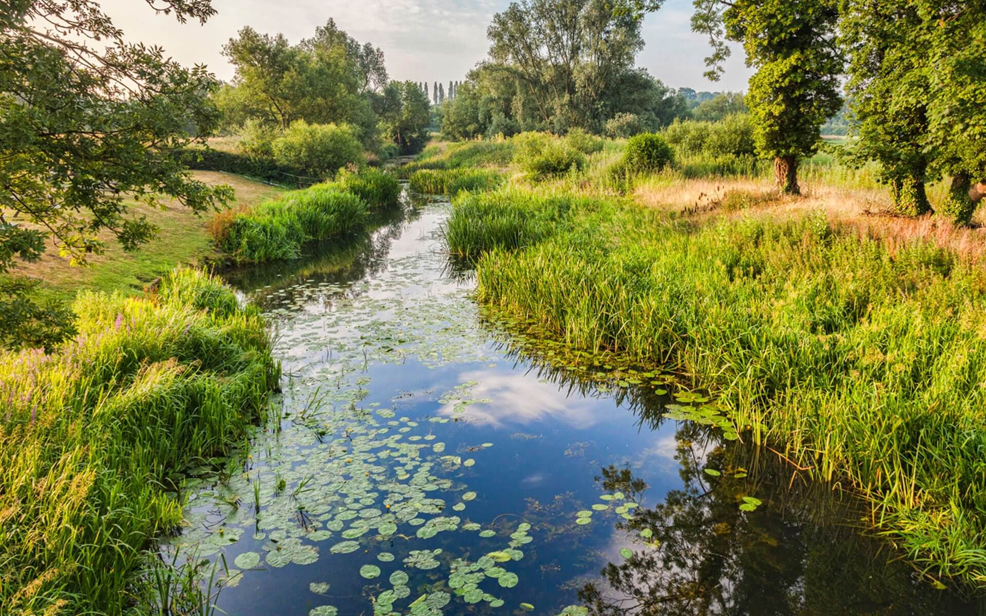 Flying Fields New Build Houses For Sale Southam Orbit Homes