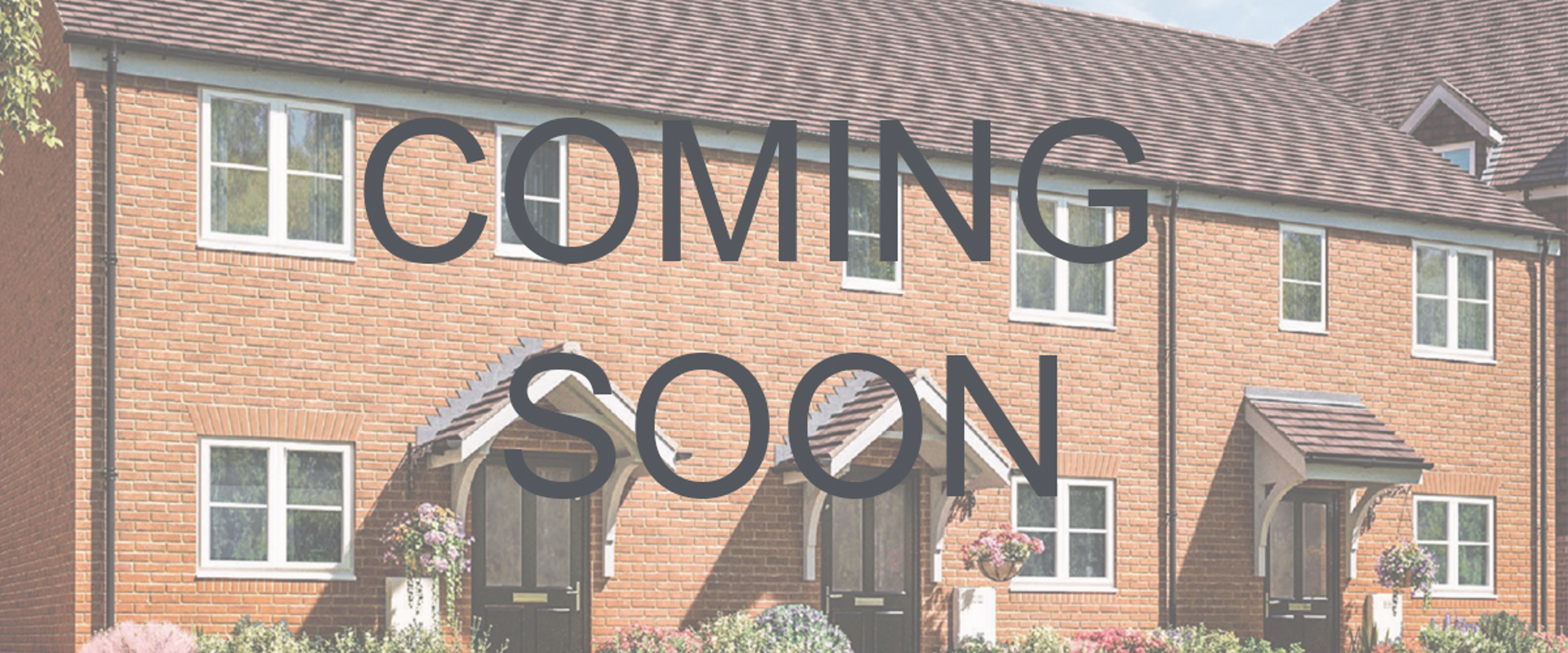 Robin Coming Soon