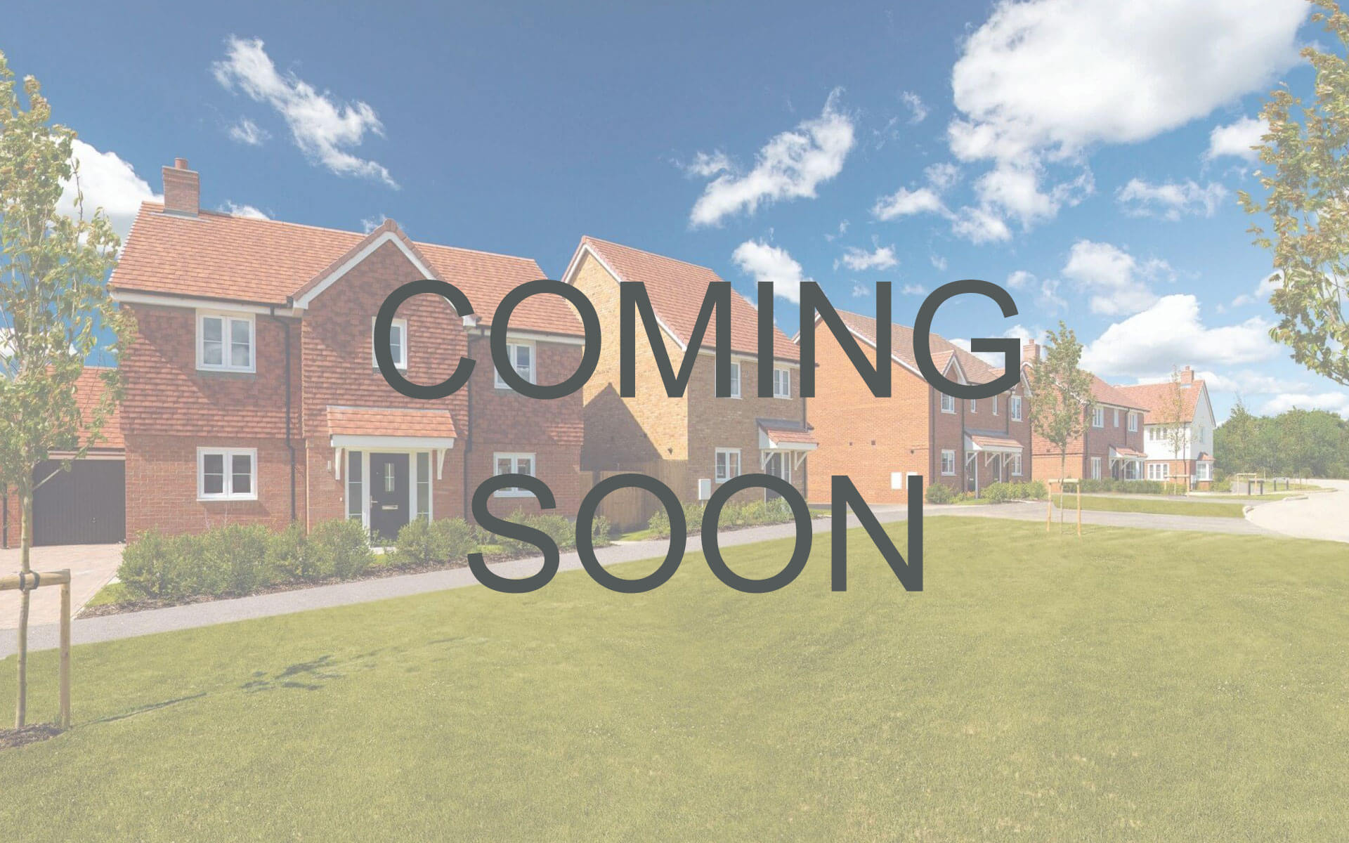 The Hedgerows Houses for sale Hailsham Orbit Homes