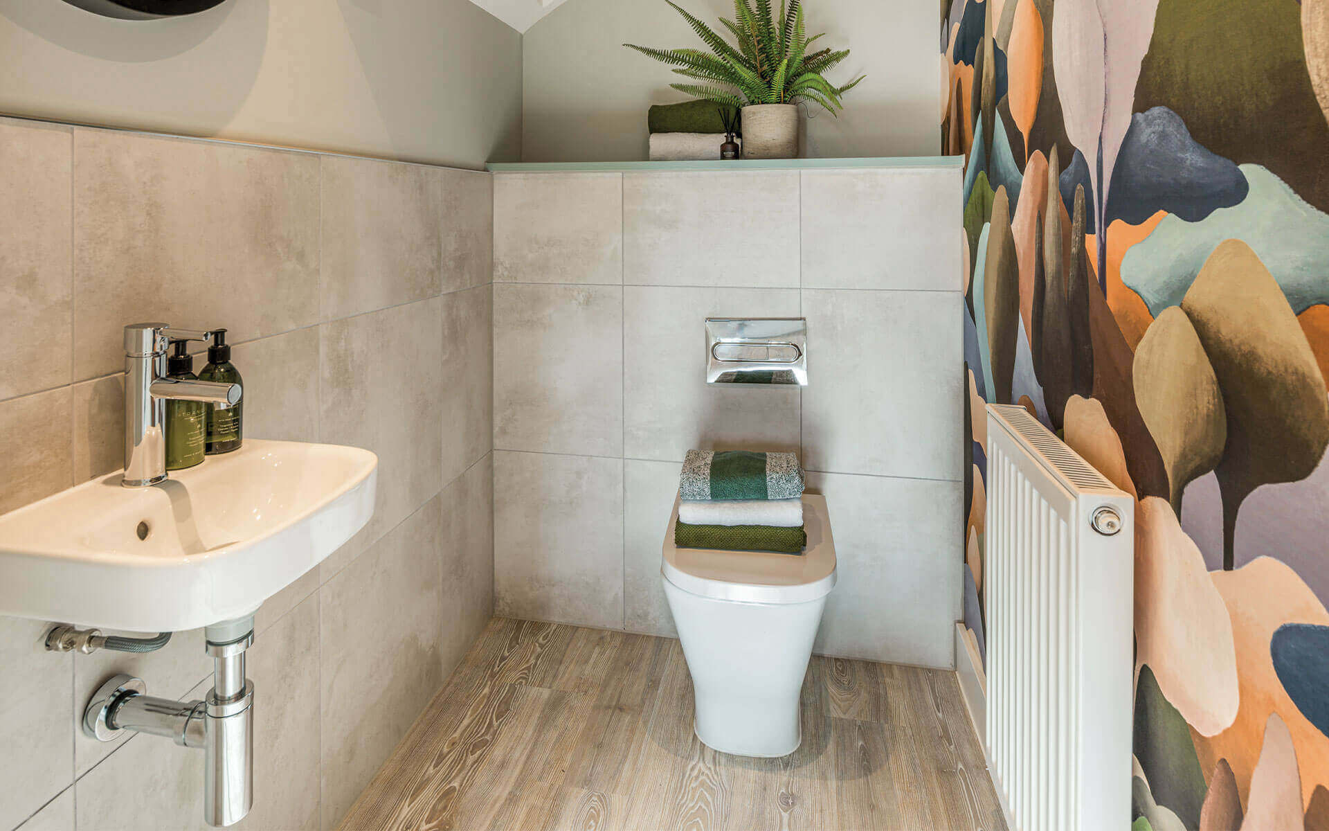 Levettview Cardinham Cloakroom(1)