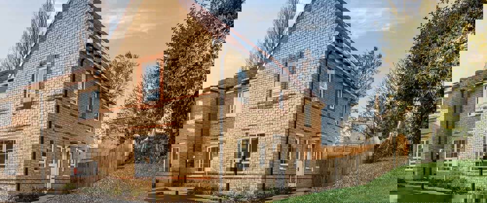 Hawthorn Grove Lily 228 (2)