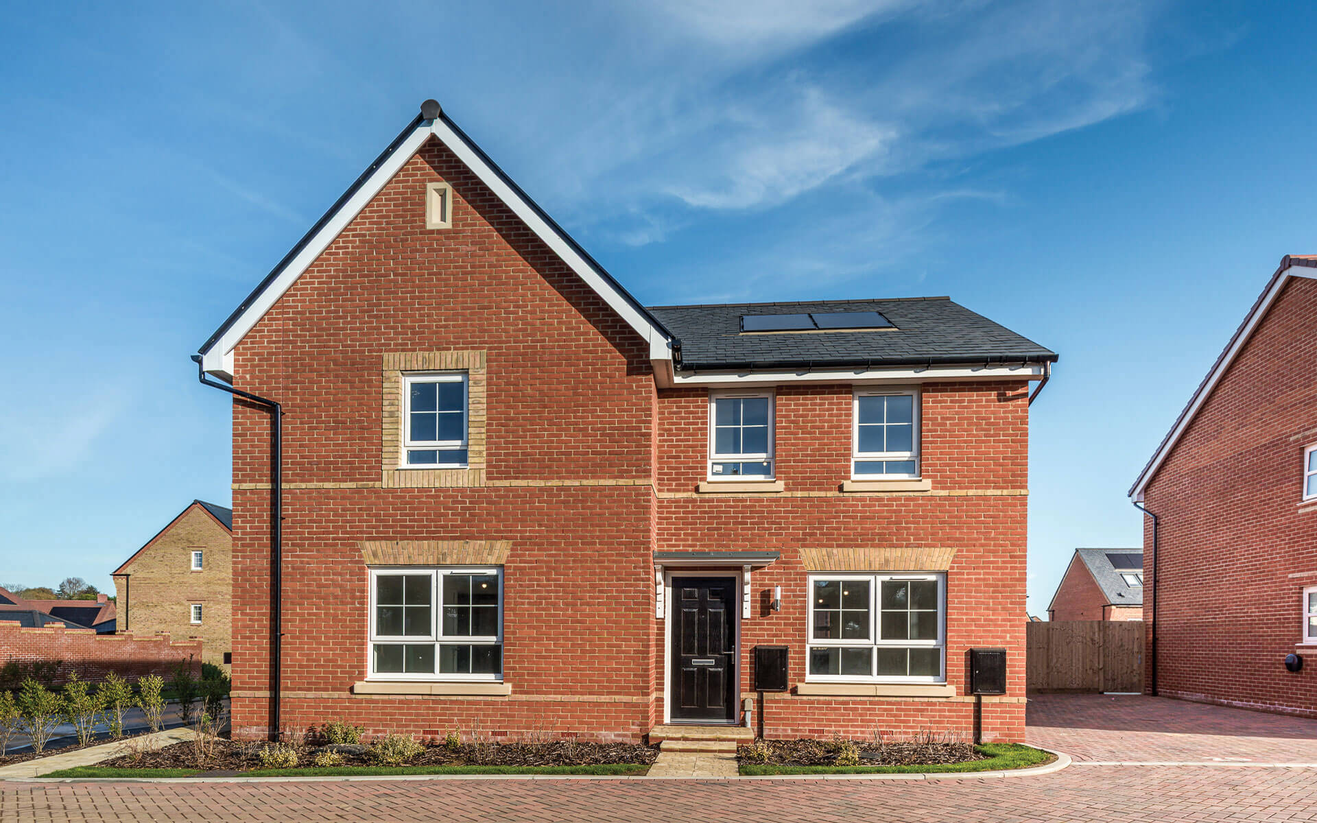 Brookwood Meadows Violet 20 (1)