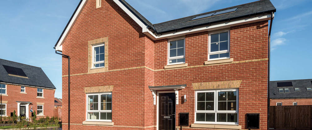 Brookwood Meadows Snowdrop 21 Violet 20 (2)