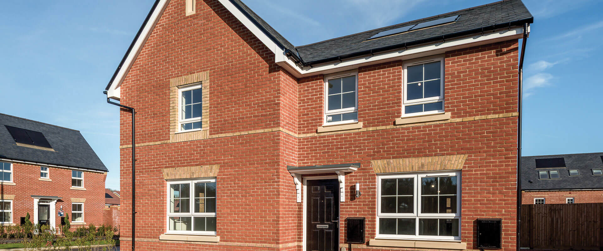 Brookwood Meadows Snowdrop 21 Violet 20 (2)