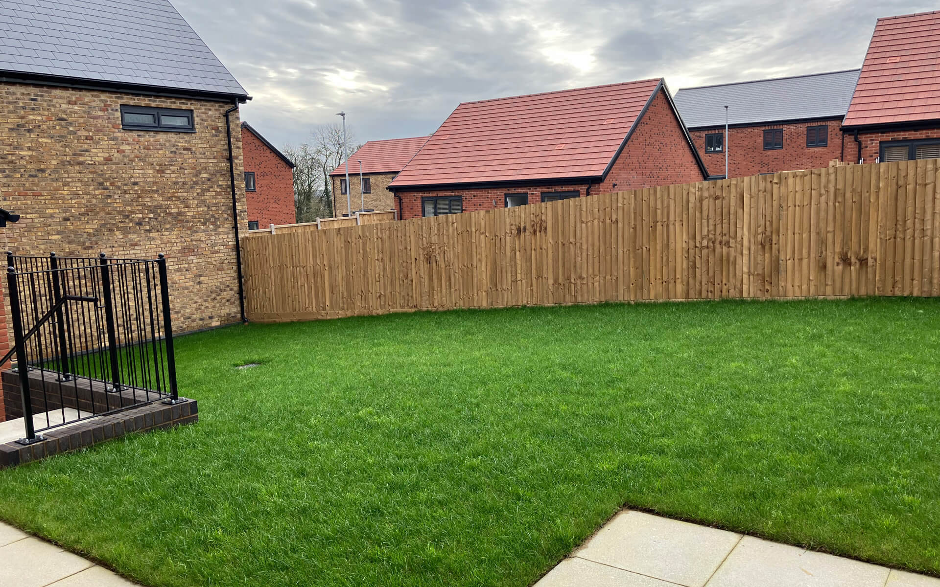 P159 Foxglove Back Garden 1